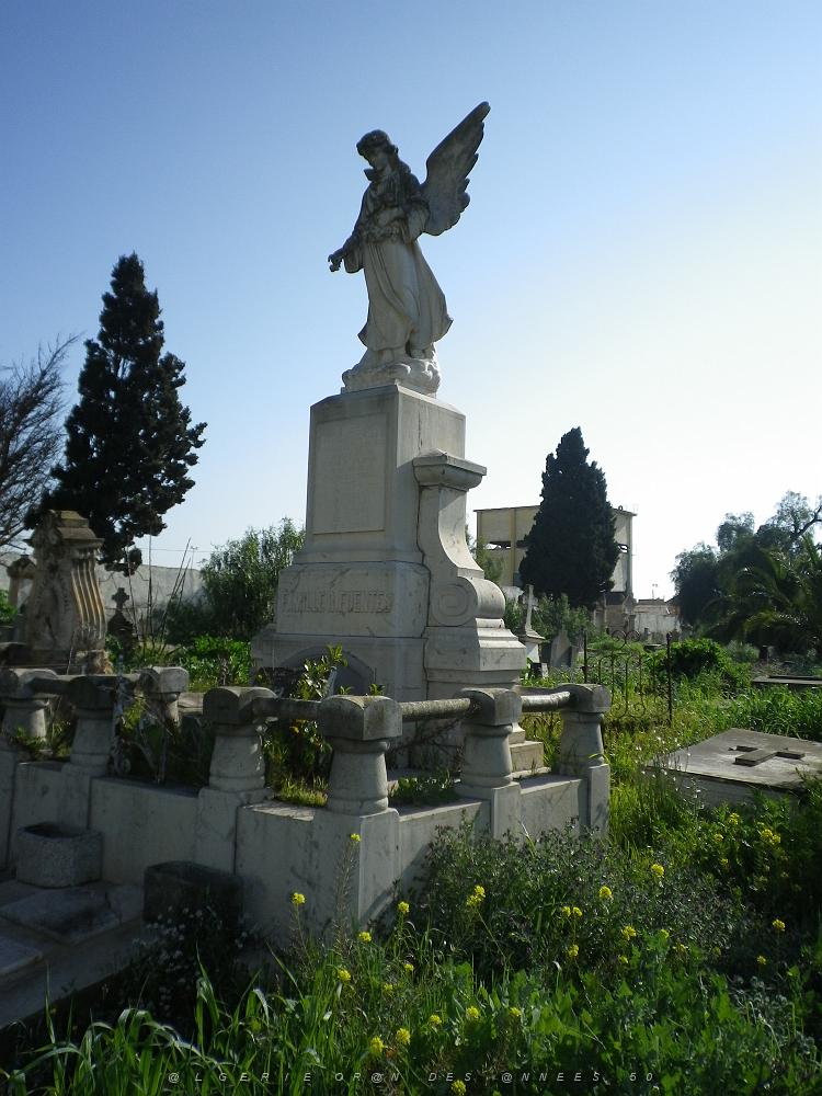 CIMETIERE DE TAMAZOUHET D ORAN EN MARS 2012  (43).JPG